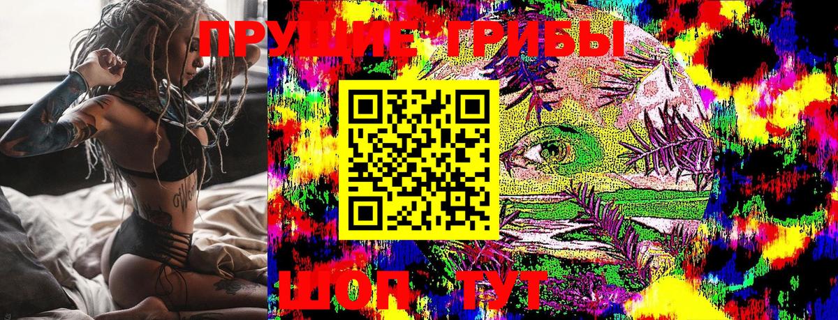 Галлюциногенные грибы Psilocybine cubensis Домодедово